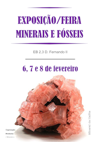 Fosseis DFII 200