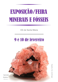 Fosseis Santa Maria 200