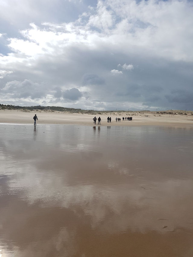 guincho640