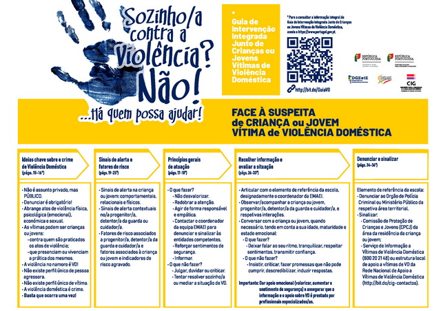 Flyer VD vf resize