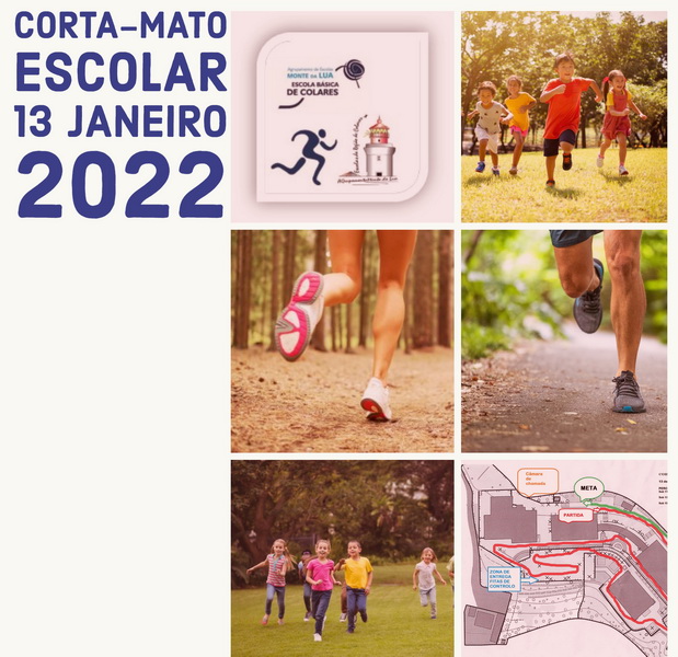 noticiaSite resize
